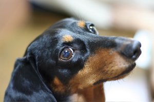 クリックで拡大画像