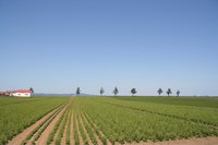 クリックで拡大画像